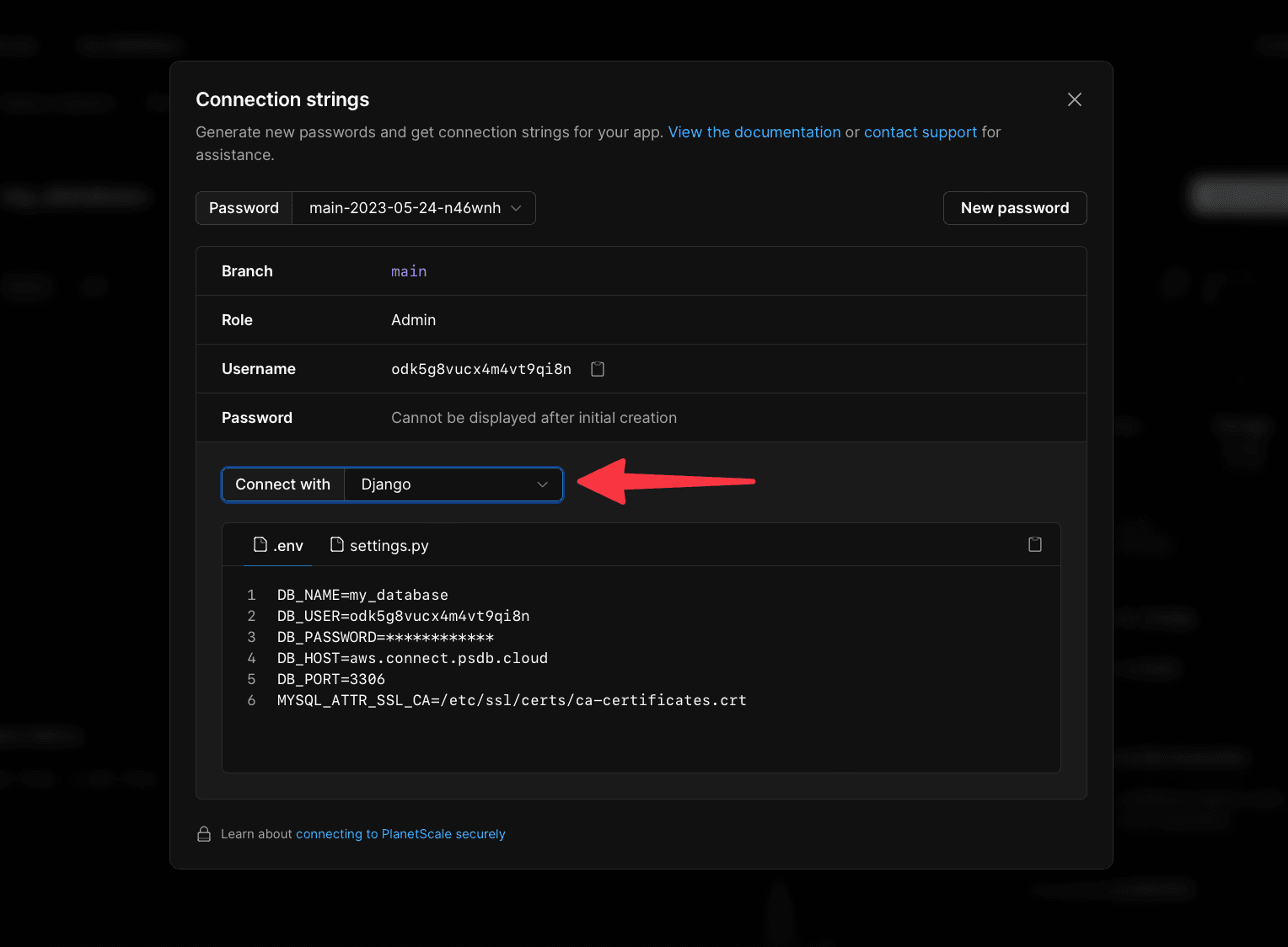 The connection details for the project.